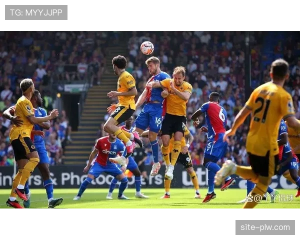 水晶宫防守组织严密有序 限制狼队进攻空间效果明显